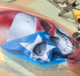 The Skull Revolution Vector Download Set